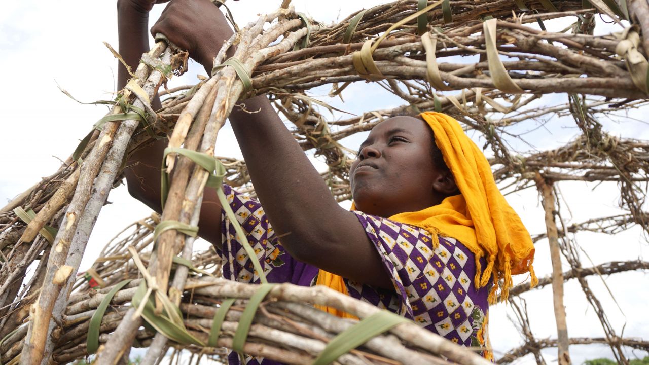 A woman weaves together branches and grasses to build a structure.