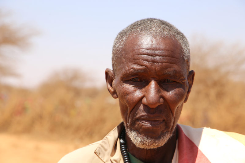 SB_Somaliland_Bihi_CaseStudy_2018_01