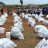 Rows of shelter aid ready to be distributed
