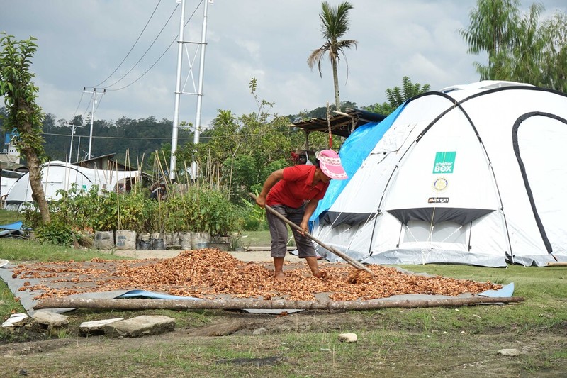 Erit carefully rakes her grains on a tarpaulin