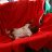 A new born baby sleeping on a blanket in a ShelterBox