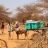 A man leads his donkey pulling a cart with green ShelterBoxes in it.